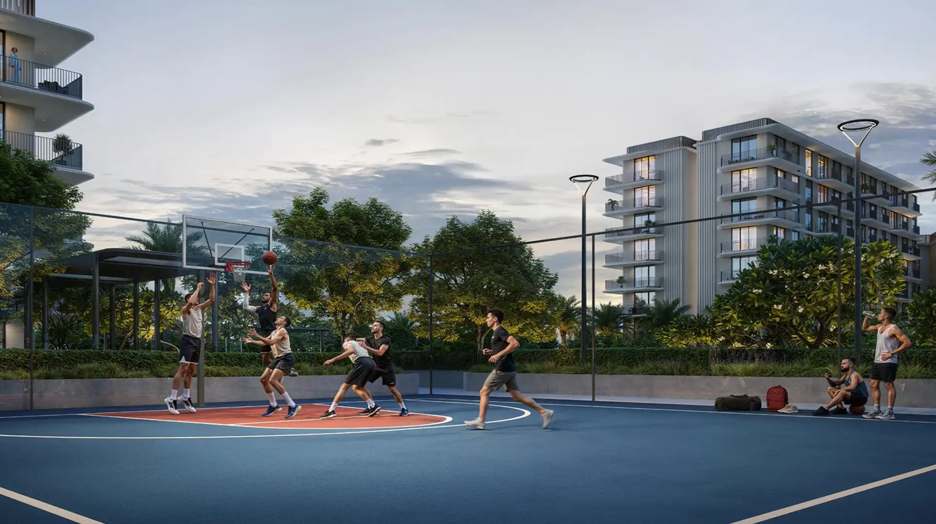 Basketball Area